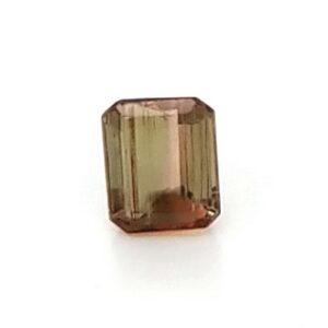 Andalucite EC 0.90 Carats