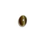 Chrysoberyl Cats Eye OV 0.74 Carats.