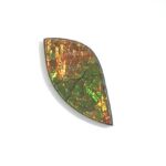 Ammolite FF 4.81 Carats.