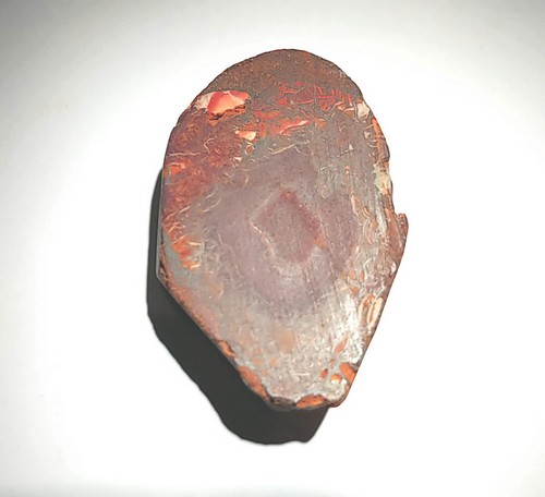 Opal Boulder Specimen 20.77 Grams