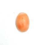 Coral 0.41 Carats