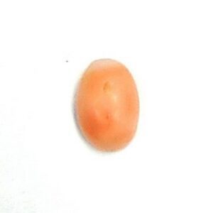 Coral 0.41 Carats