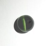 Diopside Chrome Cats eye RD 1.80 Carats.