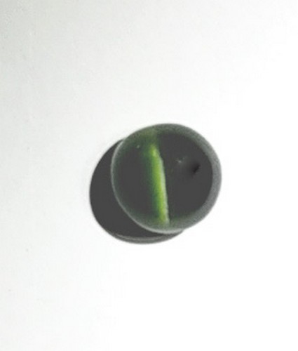 Diopside Chrome Cats eye RD 1.80 Carats.