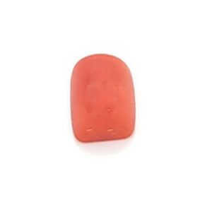 Coral 3.00 Carats