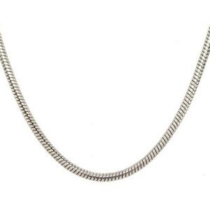 A Fourteen Carrot White Gold Snake Chain