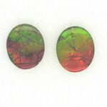 Ammolite 5.80 Carats Total Weight