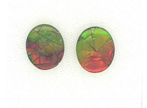 Ammolite 5.80 Carats Total Weight