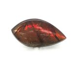 Ammolite Freeform 4.95 Carats