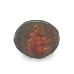 Ammolite OV 6.70 Carats