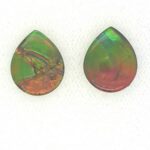 Ammolite PS 5.91 Carats Total Weight.