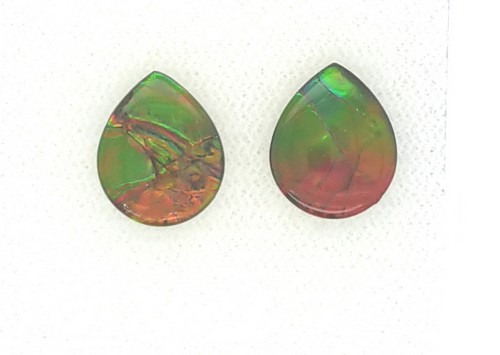 Ammolite PS 5.91 Carats Total Weight.